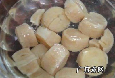 瑶柱泡发的正确方法,干瑶柱泡发的正确方法