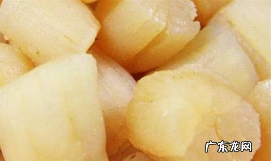 瑶柱泡发的正确方法,干瑶柱泡发的正确方法