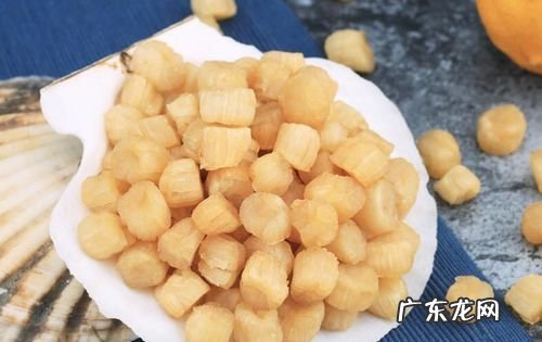 瑶柱泡发的正确方法,干瑶柱泡发的正确方法