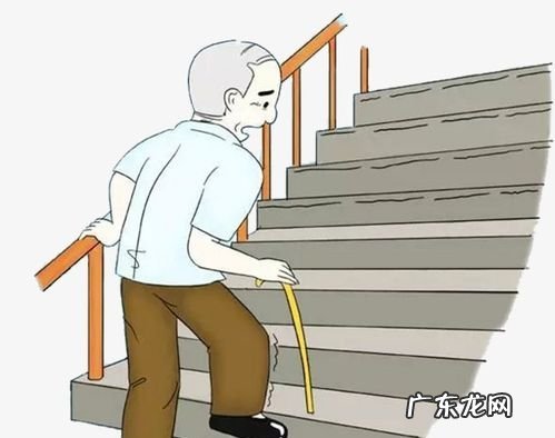 上楼梯气喘心跳加速是什么原因,爬楼梯为什么心跳加速特别快