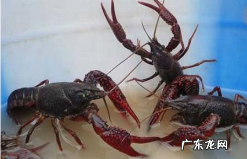 4567表示什么,4567是什么意思