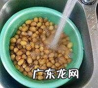 黄皮干怎么晒好吃,黄皮干怎么做好吃黄皮干的家常做法