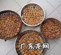 黄皮干怎么晒好吃,黄皮干怎么做好吃黄皮干的家常做法