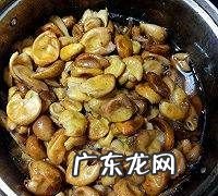 黄皮干怎么晒好吃,黄皮干怎么做好吃黄皮干的家常做法