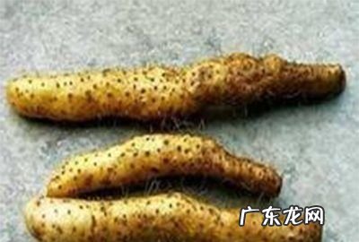 山药的成分含量表,面条白菜大米山药所含的主要营养成分有哪些