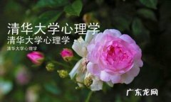大学心理学学什么,心理学专业课程有哪些