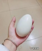 鹅蛋煮多久能煮熟,煮鹅蛋需要多少分钟