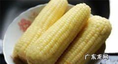 玉米一般煮多长时间,玉米要煮几分钟能熟透