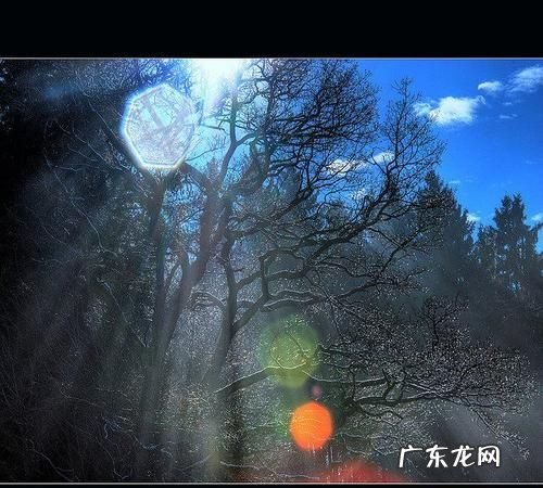 镜头眩光如何产生,怎样拍出镜头光晕效果