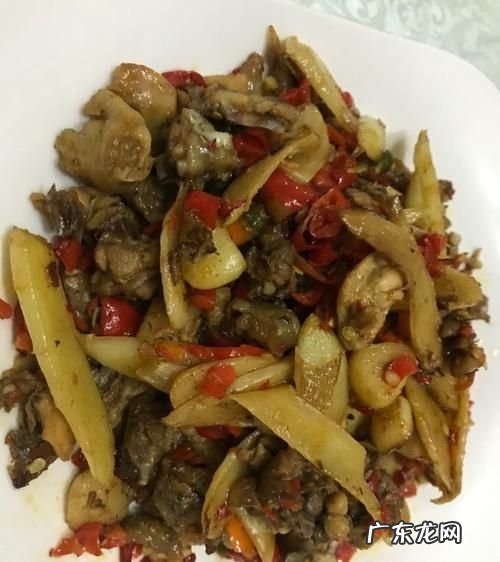 仔姜烧鸡的正宗做法,生炒鸡的制作方法