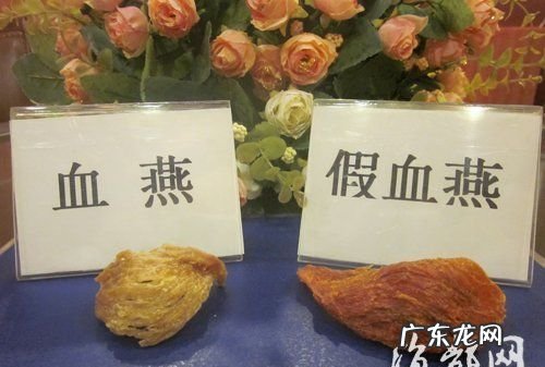 血燕是什么,血燕和雪燕有什么区别