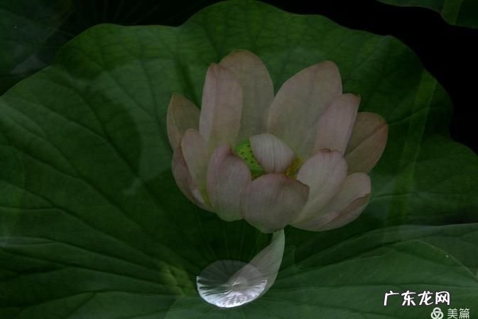 多重曝光怎么拍,如何双重曝光拍月亮