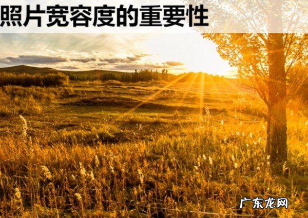 视频宽容度是什么意思,关于摄影的宽容度问题