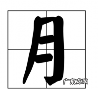 月字旁的字和什么有关,月字旁的字跟什么有关系