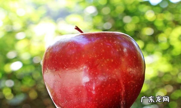 芒果放冷库几度比较合适,芒果可以放冷库储存