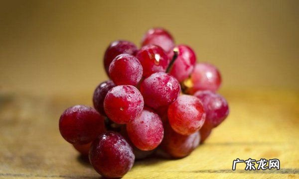 芒果放冷库几度比较合适,芒果可以放冷库储存