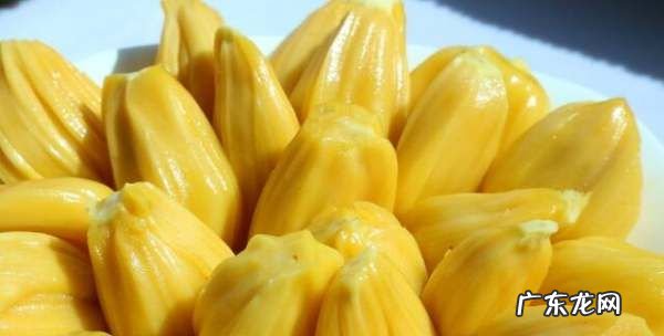 菠萝蜜怎么吃,菠萝蜜怎么吃