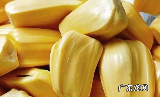 菠萝蜜怎么吃,菠萝蜜怎么吃