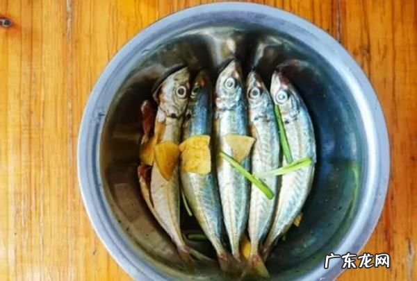 简单炸鱼的做法,红烧炸鱼块的家常做法简单