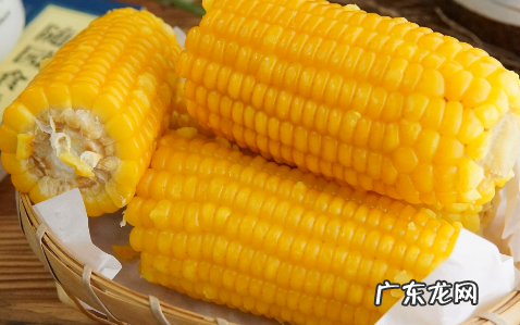 玉米在水里煮几分钟,用煤气煮玉米一般需要多少时间