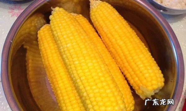 玉米在水里煮几分钟,用煤气煮玉米一般需要多少时间