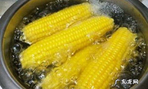 玉米在水里煮几分钟,用煤气煮玉米一般需要多少时间