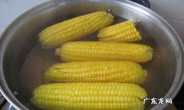 玉米在水里煮几分钟,用煤气煮玉米一般需要多少时间