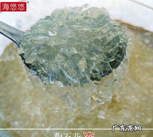 自制石花菜凉粉水的比例,海石花怎么煮成凉粉