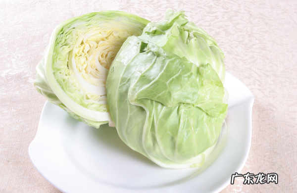 卷心菜怎么做好吃,卷心菜怎么做好吃