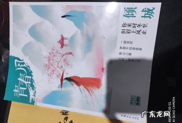 眉上风止出自哪里,你来时冬至但眉上风止类似的句子