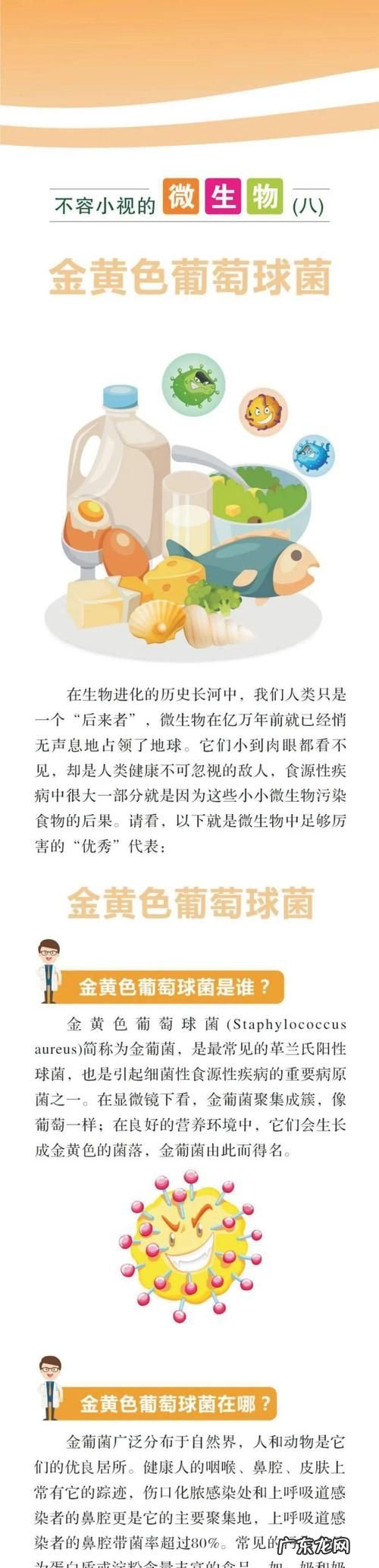 金黄色葡萄球菌是什么,金黄色葡萄球菌是革兰氏阴性菌还是阳性菌