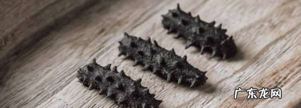 干海参如何保存,干海参保存方法冷藏还是冷冻