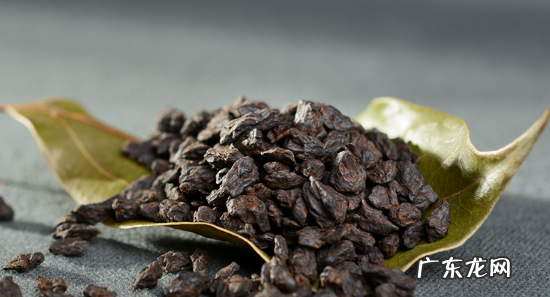 茶化石是什么茶,茶化石属于什么茶有保质期