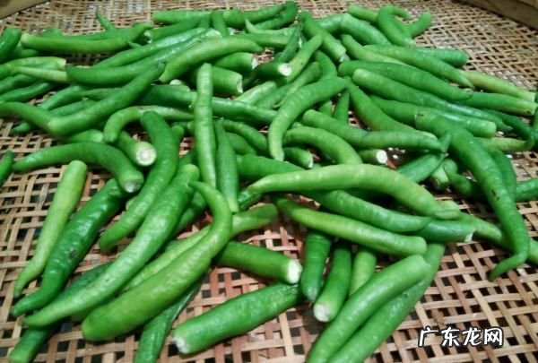 怎样腌整个青辣椒好吃,青辣椒的腌制方法