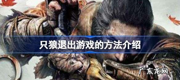 只狼怎么退出-只狼如何退出,只狼怎么切换到桌面上