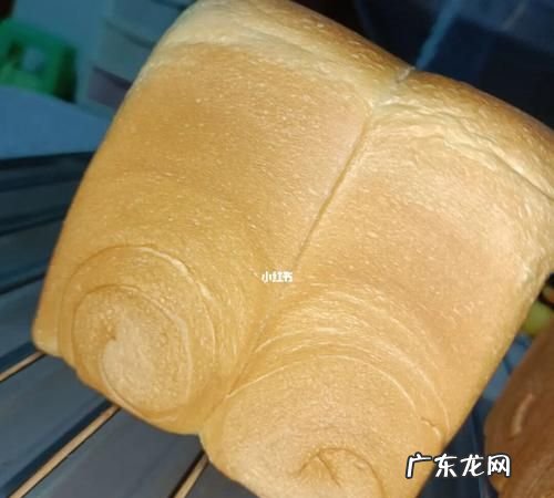 面包发酵一晚上可以,发好的面团可以冰箱冷藏一夜
