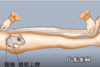 怎么量腿长,腿长怎么量从哪到哪图解裤子