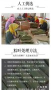 粽叶晒干保存的方法,粽叶怎么晒干保存最好