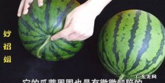 怎么分辨西瓜有没有成熟,如何分辨西瓜是否成熟