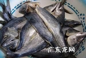 夏天怎么晒鱼干不会坏,夏天怎么样晒鱼干才好吃