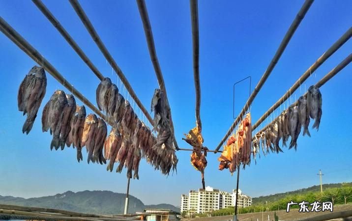 夏天怎么晒鱼干不会坏,夏天怎么样晒鱼干才好吃