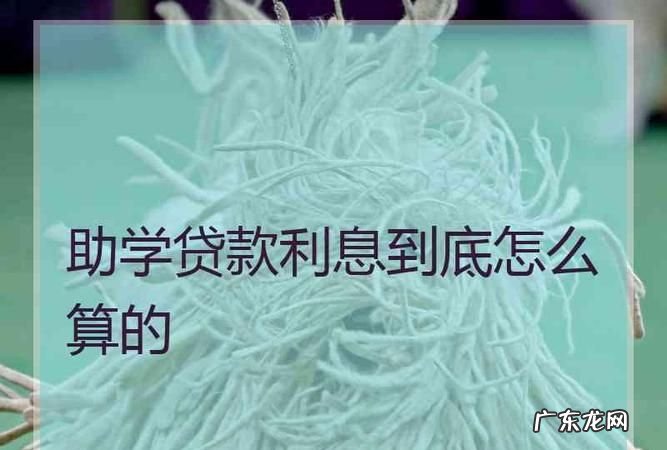 助学贷款有没有利息,助学贷款有利息是多少