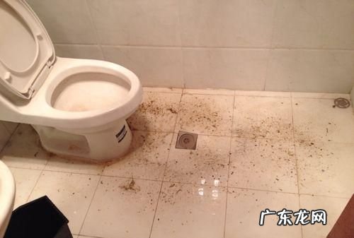 一楼卫生间反水怎么解决,一楼下水道总是堵塞反水怎么解决