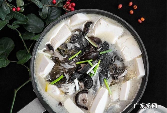 鱼头豆腐汤的做法,怎么做鱼头豆腐汤好吃