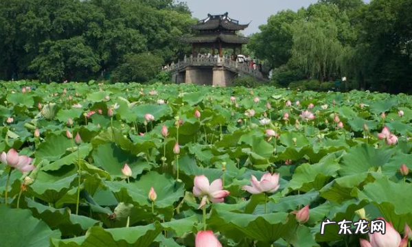 西湖十景是哪十景,西湖十景都有哪些十景
