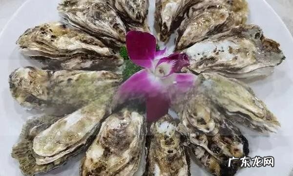 生蚝不撬开要蒸几分钟,生蚝不开壳蒸多长时间 生蚝蒸能自己开壳