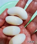 乌龟蛋怎么煮,乌龟蛋煮几分钟熟
