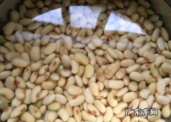 怎么炖猪蹄好吃又烂,怎样清炖猪蹄又烂又好吃窍门