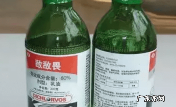 家里有跳蚤怎么清除最方便有效,家里有小孩有跳蚤怎么彻底消除