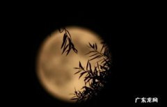 秋夕表达了什么感情,秋夕表达了作者什么情感特点